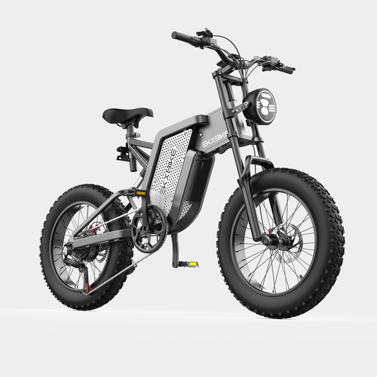 X20 2000W 48V35Ah